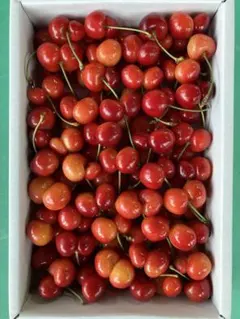 山形県産 大粒 さくらんぼ 訳あり 紅秀峰 1kgのサムネイル