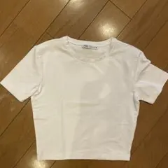 ZARA ホワイト 半袖クロップドTシャツ S