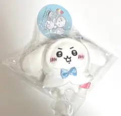 ちいかわ サンリオ ぷちミニフードマスコット ちいかわ シナモロール