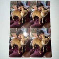 長野凌大 トレカ