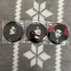 &TEAM 缶バッジ
