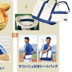 横浜DeNAベイスターズ クリアショルダーバッグ&アクリルラメ色紙 #1 