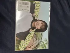 日向坂46 ひなたフェス2026 パンフレット　ランダム　生写真　大野愛実 日向坂46 ひなたフェス2026 パンフレット ランダム生写真 大野愛実