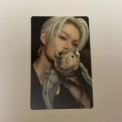 THE SIN : VANISH トレカ ニキ