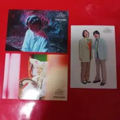 Mrs.GREEN APPLE フィヨルド フォトカ C