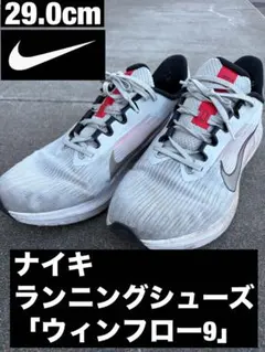 【希少29.0cm！】ナイキランニングシューズ　ウィンフロー9