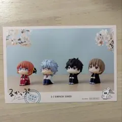 るかっぷ 銀魂 銀八先生 非売品 ポストカード