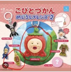 こびとづかん めじるしフレンズ2 イチゴクレナイ タカラコガネ