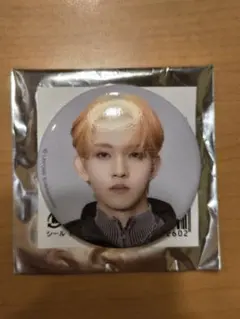 INI 田島将吾 缶バッジ