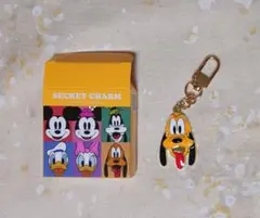 ディズニー　シークレットチャーム　プルート
