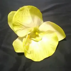 【265】 ヘッドドレス