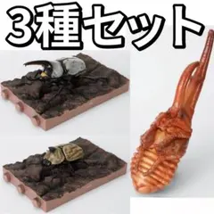 オンライン限定 いきもの大図鑑 かぶとむし１０ 樹皮台座（小）セット 3種セットのサムネイル