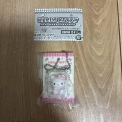 ハローキティ パッケージミニチュアコレクション