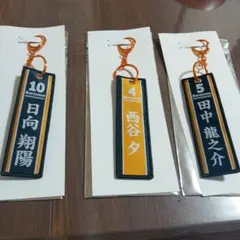 ハイキューフライトタグ(日向翔陽, 西谷夕, 田中龍之介)