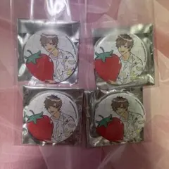 皆木綴　缶バッジ4個セット