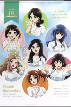 レア 響け!ユーフォニアム 誓いのフィナーレ B2タペストリー