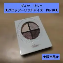 ヴィセ　リシェ　グロッシーリッチアイズ　PU-10★アイカラー★限定品
