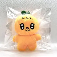 2026年最新】seventeen ぬいぐるみ スングァンの人気アイテム - メルカリ