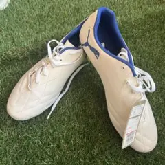 Item thumbnail for item ed48be94-b99f-453c-a1a4-73eaf0bad0ff