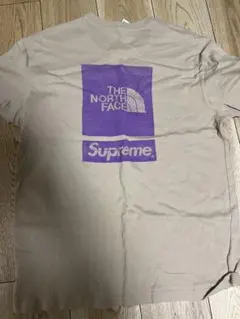The North Face x Supreme コラボ Tシャツ ベージュ