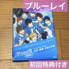 Item thumbnail for item 628a3d91-c839-4e20-afee-e7d00625016e