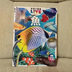 講談社の動く図鑑MOVE 魚 DVD付き - メルカリ