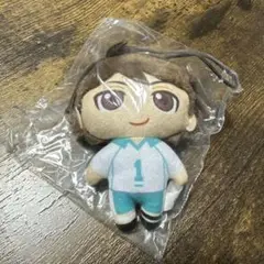 ハイキュー 及川徹 ぬいぐるみマスコット2