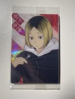 ハイキュー!! ウエハース5 描き下ろしカード