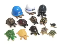 カメ 大量セットのサムネイル