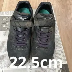 Item thumbnail for item 02c6fe9f-98e5-464a-b6ec-839b67cbd8e8