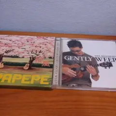 2枚セットで　DEPAPEPE, JAKE SHIMABUKURO