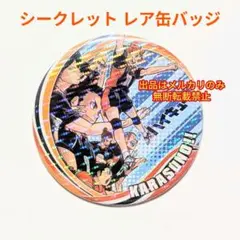 ハイキュー 烏野高校 レア シークレット 缶バッジ 日向 影山 月島