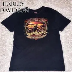 【希少】ハーレーダビッドソン ホノルル ハワイ 両面プリント Tシャツ L 黒のサムネイル