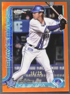 Item thumbnail for item 5bbe8bc0-b240-4d54-963c-494c479dc609