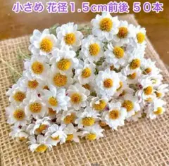 もくれん様 リクエスト 2点 まとめ商品