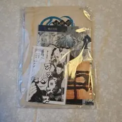 呪術廻戦 五条悟 夏油傑 最強コンビセット