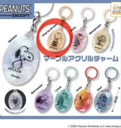 PEANUTS スヌーピー　マーブルアクリルチャーム　チャーリーブラウン