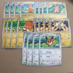 ポケモンカード サンダース イーブイ パーモット はつでんタッチ