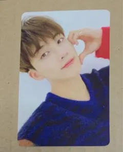 SEVENTEEN ジョンハン 舞い落ちる花びら トレカ