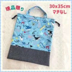 【現品セール】体操着袋　着替え袋　巾着《魚　海　生き物　パラダイス》男の子