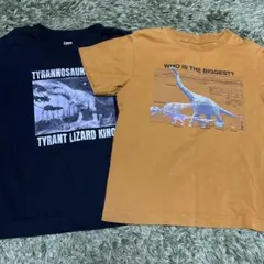 ユニクロ　GU 恐竜　Tシャツ　恐竜博物館　120
