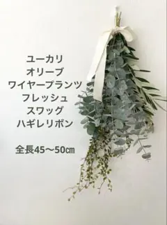 유칼립투스 올리브 와이어 플랜트 프레시 스웨그 [해기레 리본 포함]