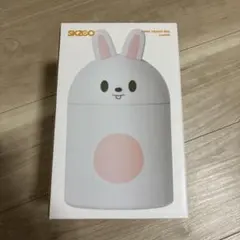 Straykids スキズ leebit リービット skzoo ダストボックス