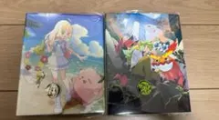 ポケモンカード　コレクションファイル　リーリエ　N