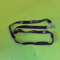 AWS SUMMIT ストラップ ブラック 約43cm