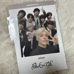 &TEAM Back to Life グローバル　集合セルフィーPETスタンド