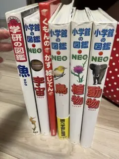 小学校の図鑑 NEO セット 5冊