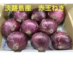 淡路島産赤玉ねぎ9〜10玉のサムネイル