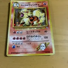 カツラのウインディ ★ ジム拡張第1弾