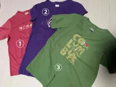 Item thumbnail for item ab63a287-3af0-4a3e-9c2a-90088b0e8b1f